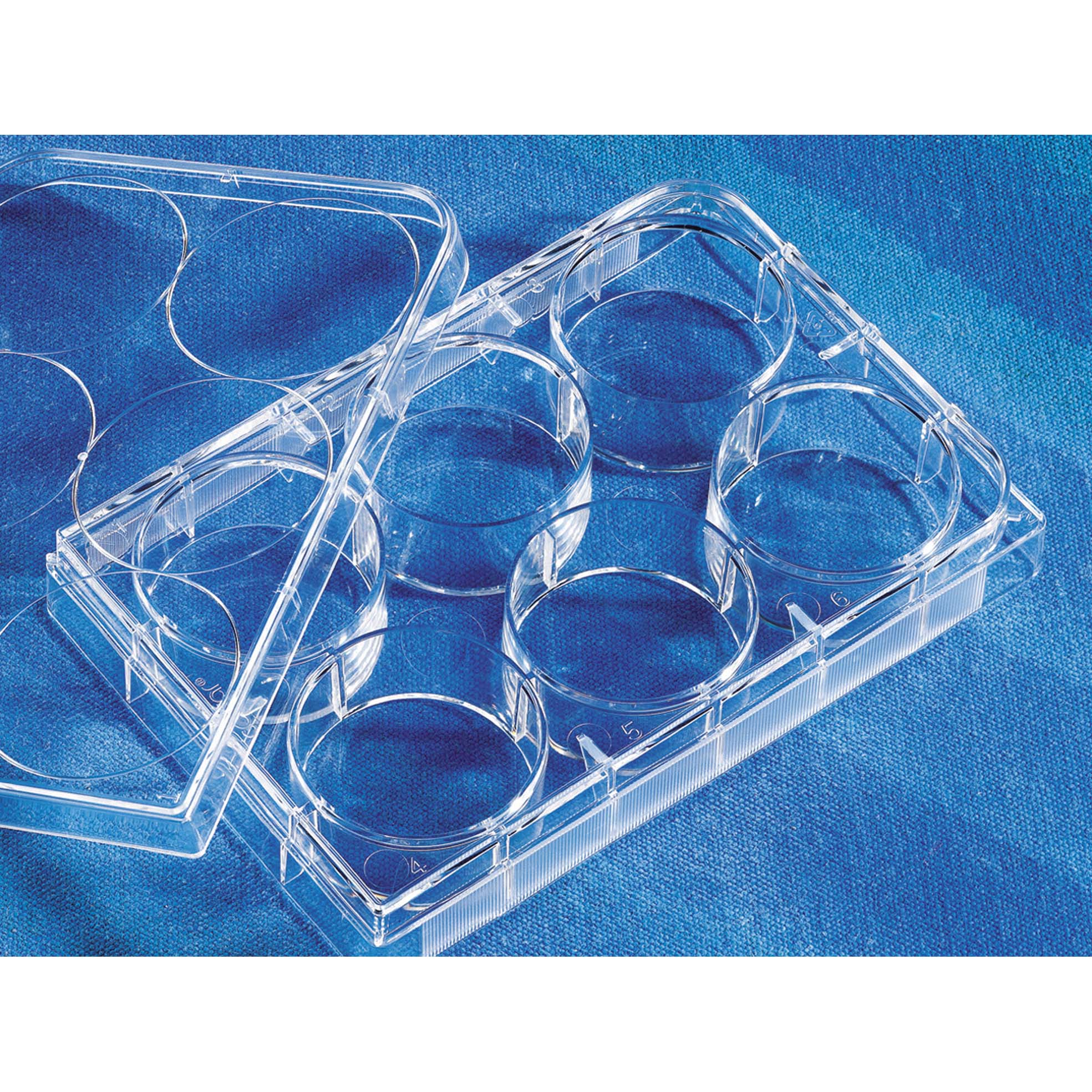 Corning® 96孔透明平底超低吸附微孔板，独立包装，带盖，无菌 Corning® 96-well Clear Flat Bottom Ultra-Low Attachment Microplate, Individually Wrapped, with Lid, Sterile